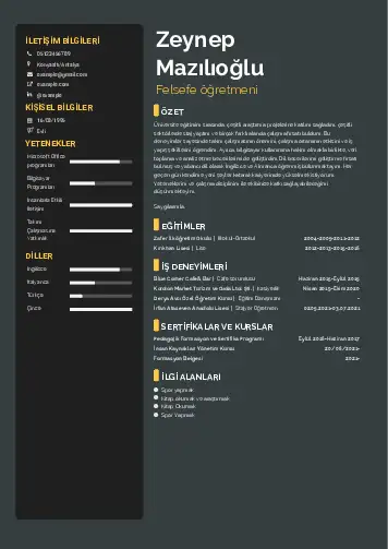 Felsefe Öğretmeni CV Örnekleri cv indir